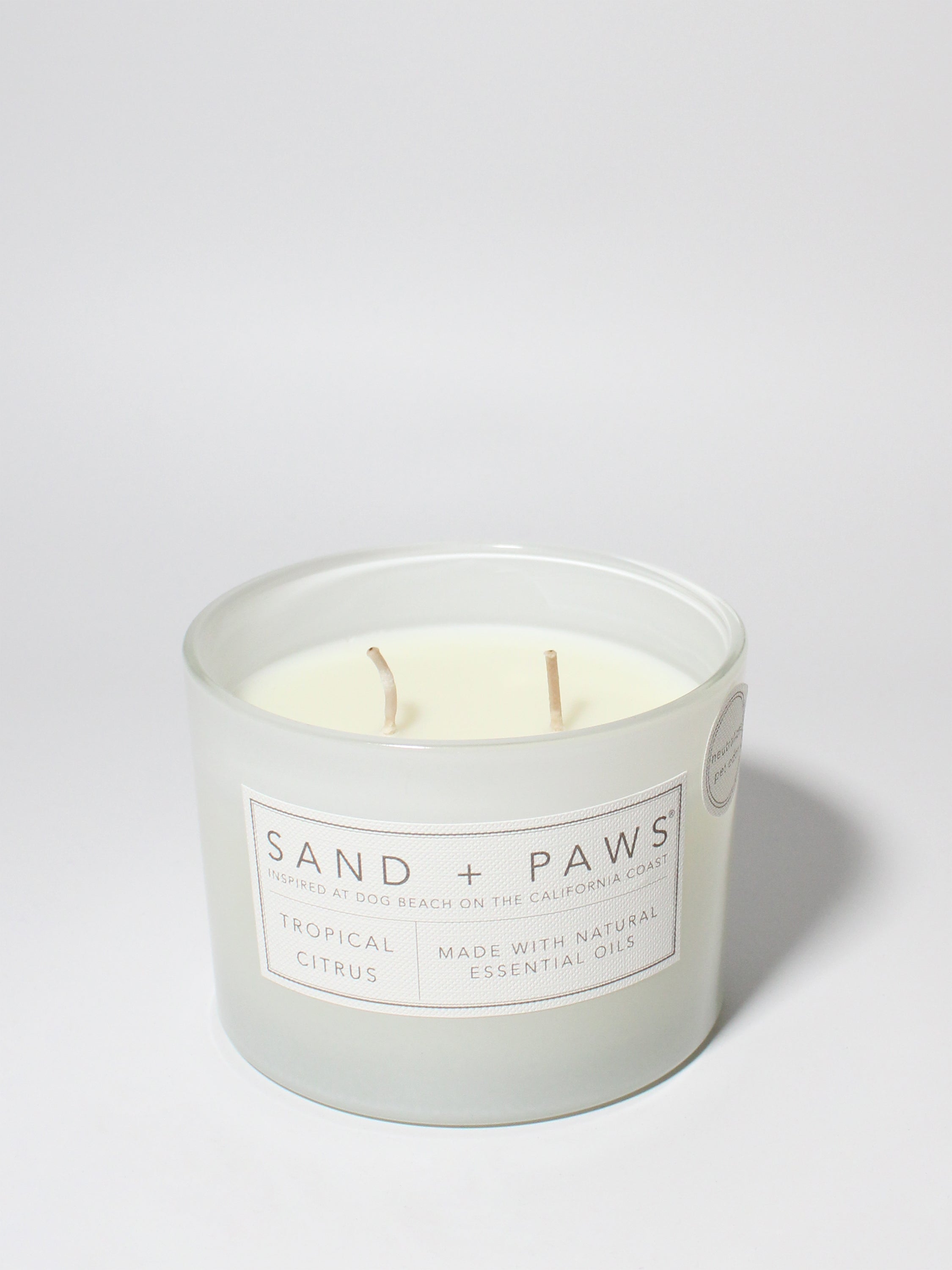 Sand + Paws Tropical Citrus 12 oz scented candle White vessel with I PAW YOU carved lid