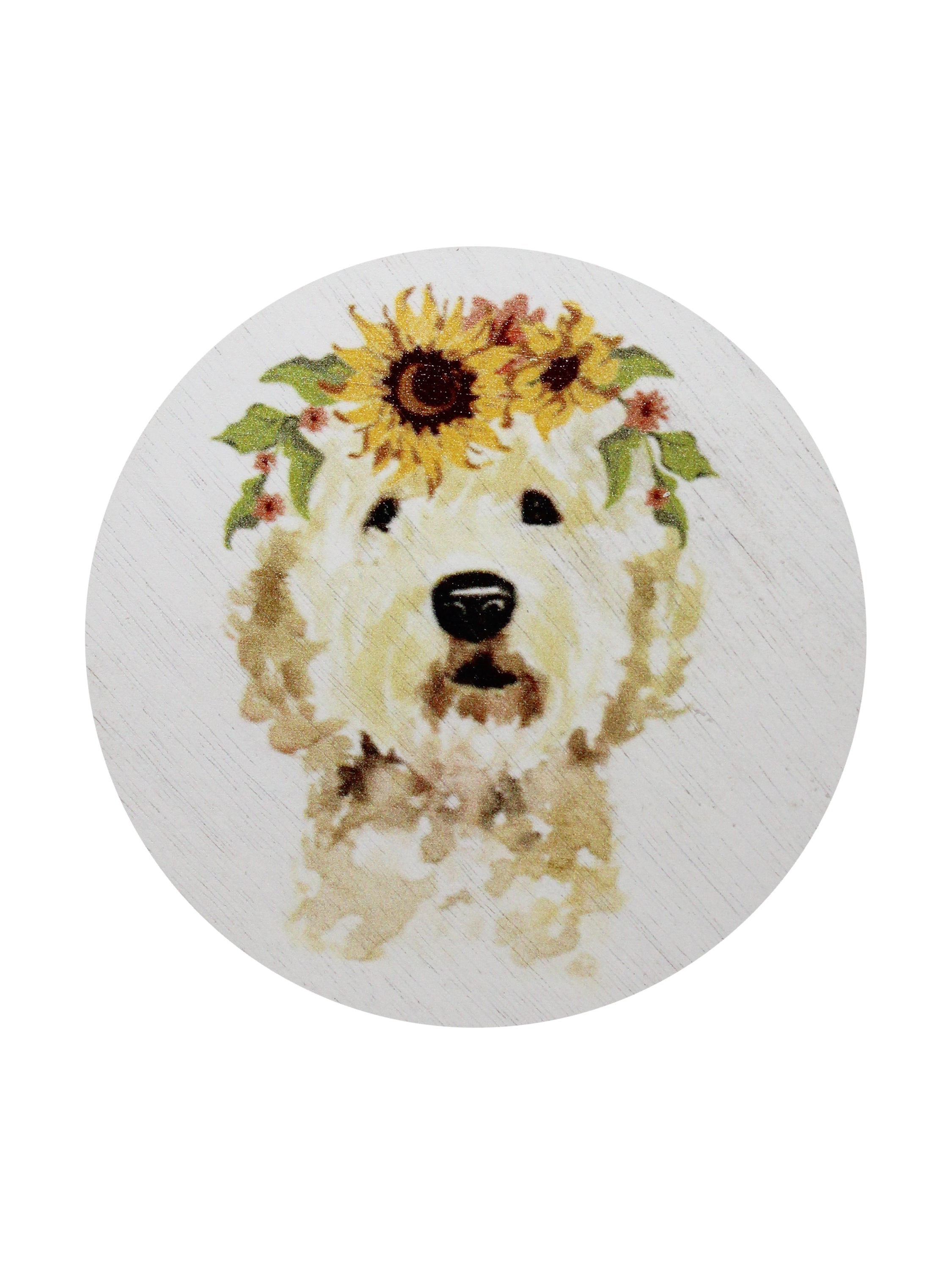 Sand + Paws Mango Tangerine 12 oz scented candle