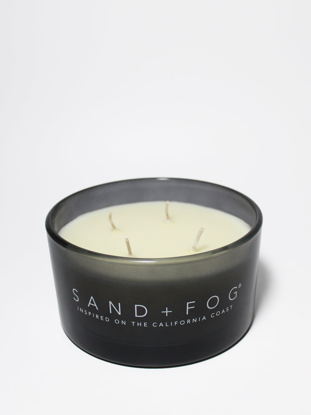 Fern & Moss 23 oz scented candle
