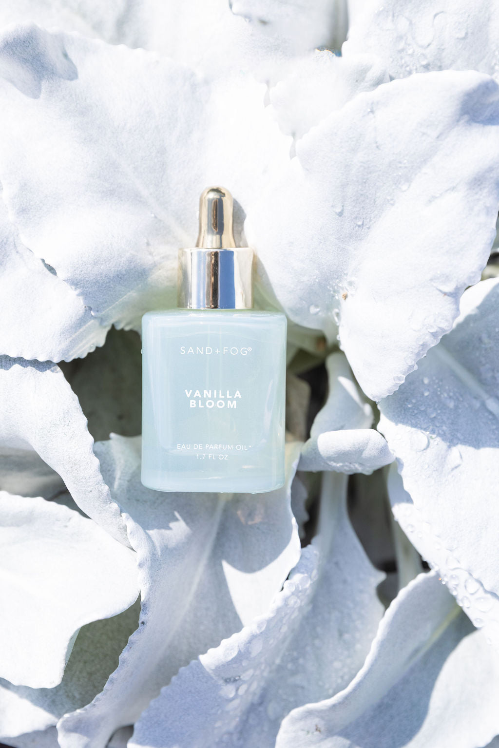Vanilla Bloom 50 ml Perfume Oil Dropper