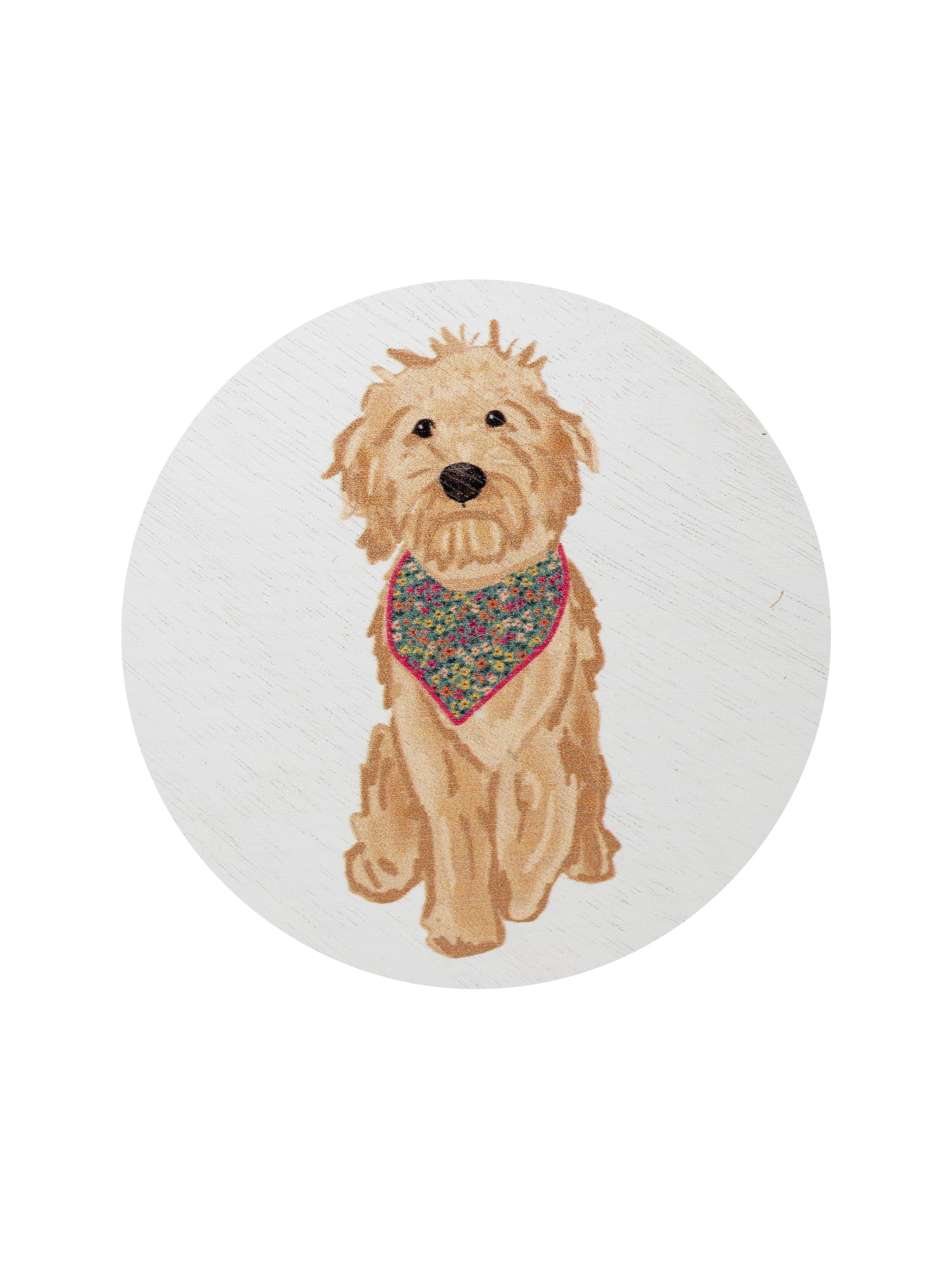 Sand + Paws Laundry Day 12 oz scented candle