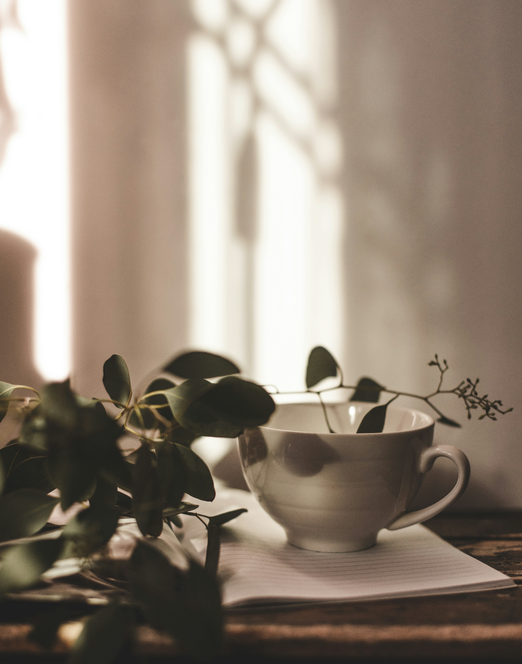 Eucalyptus Mint 100 ml Fragrance Diffuser Oil