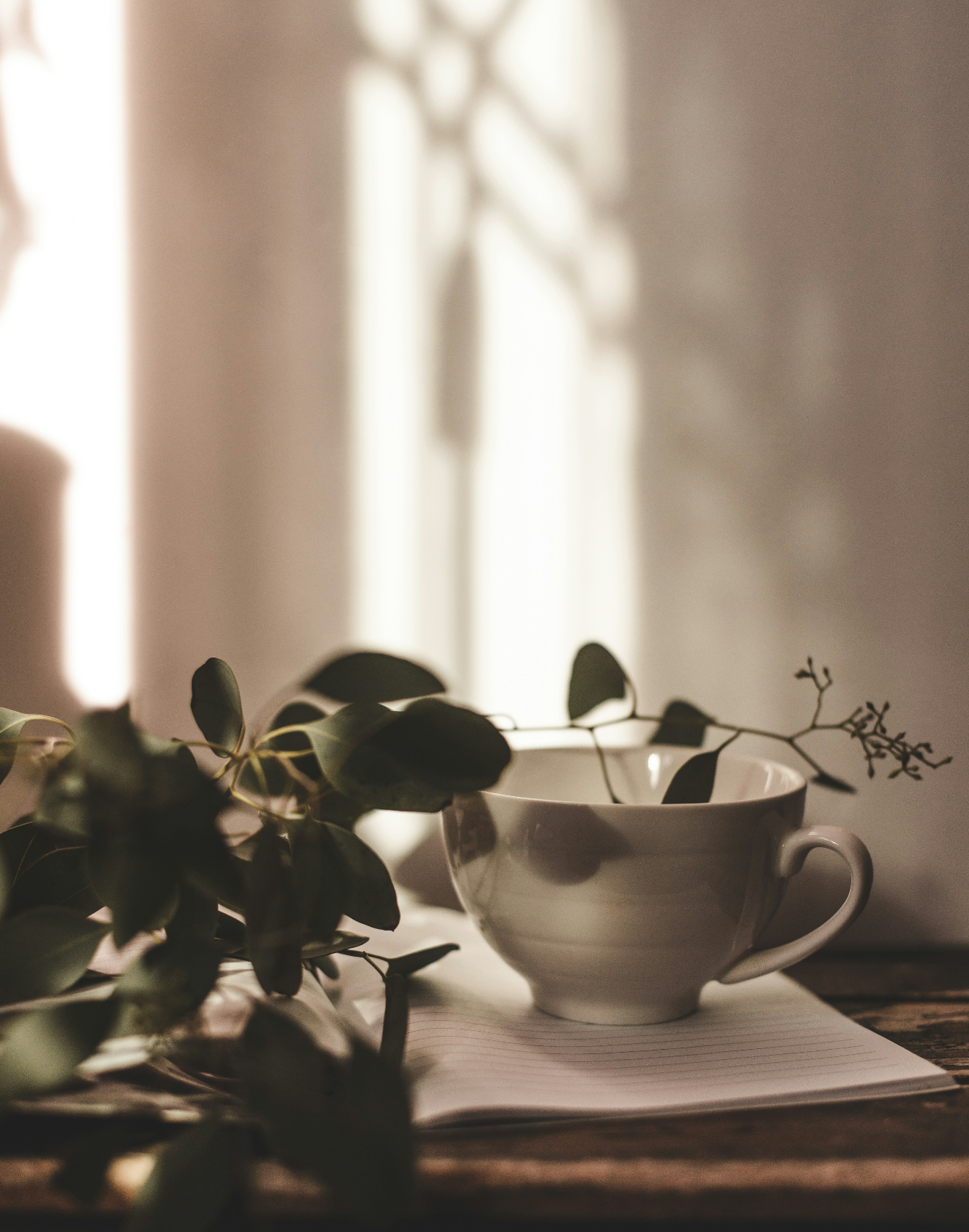 Eucalyptus Mint 15.7 oz Liquid Hand Soap