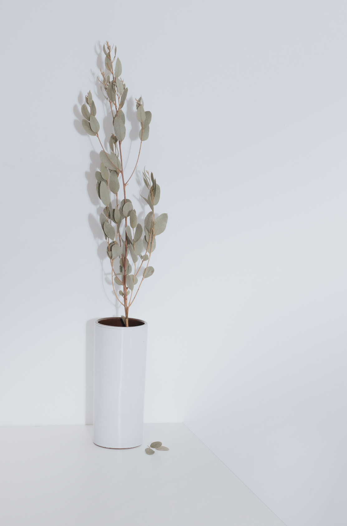 Eucalyptus Spearmint 100 ml Reed Diffuser