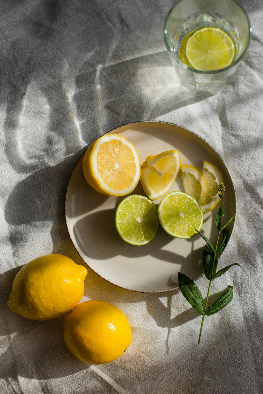 Limoncello 12 oz scented candle