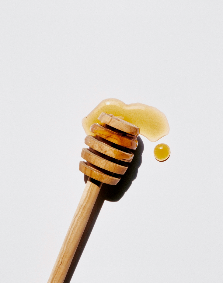 Sweet Honey 10 oz scented candle