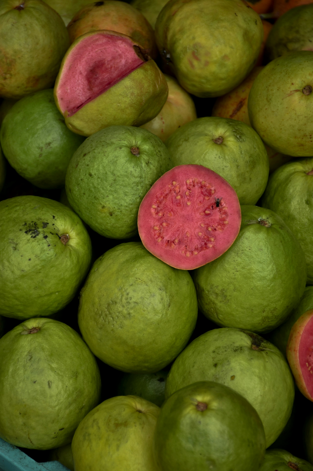 Paradise Guava 12 oz scented candle