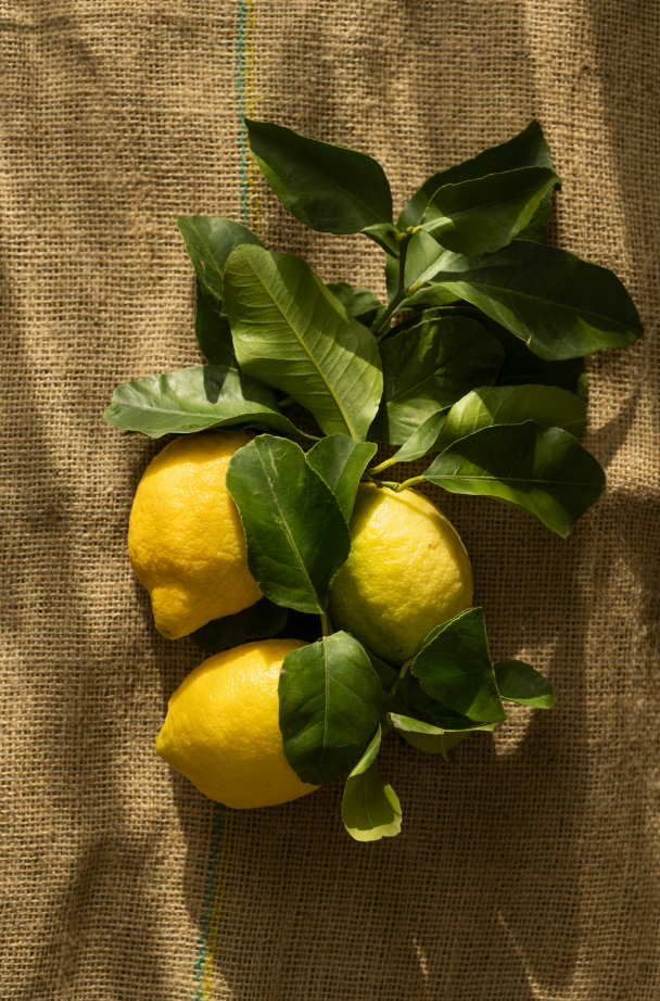 Olive Lemon Modern Heirloom 15.2 oz Liquid Hand Soap