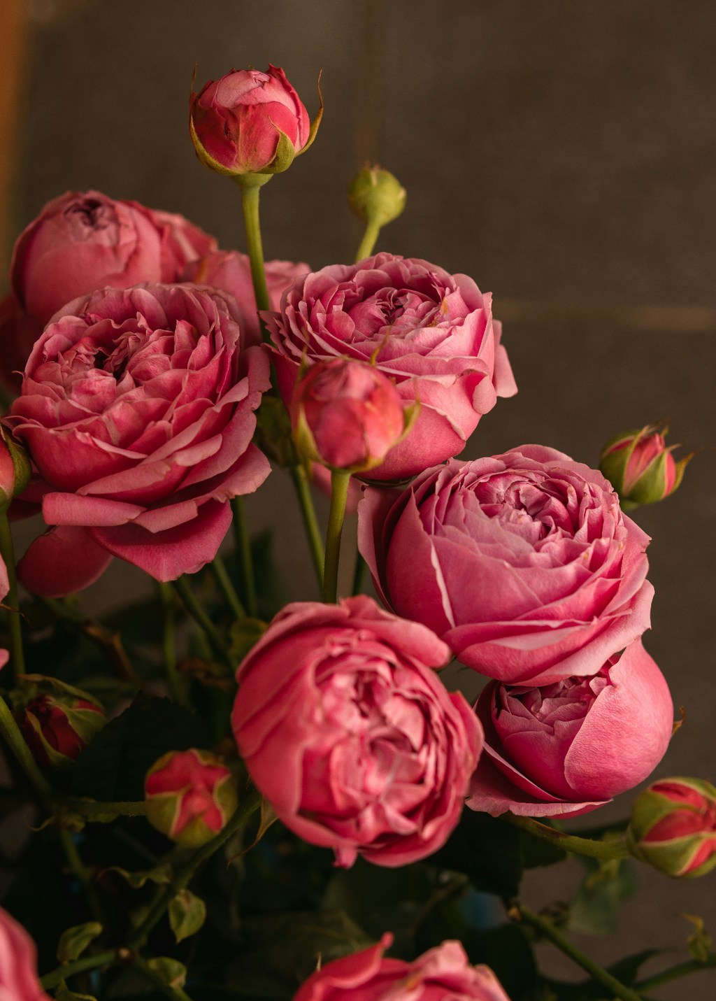Rose & Peony 50 ml Perfume Oil Dropper