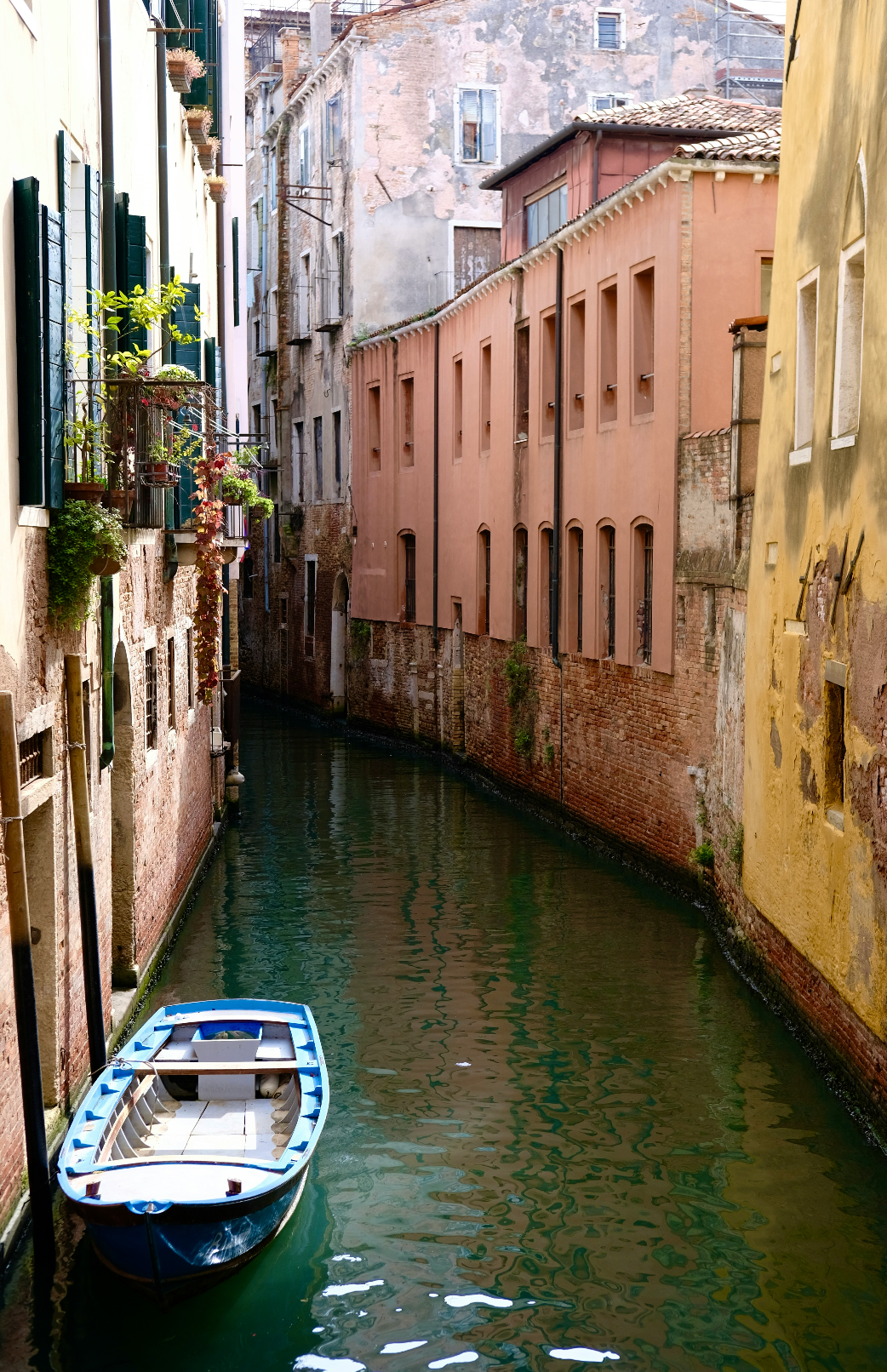 Venice 50ml Perfume Oil Dropper