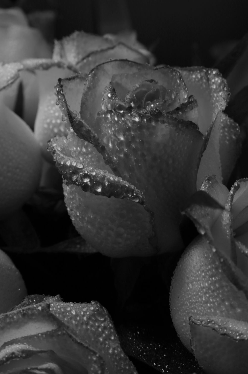 Rose Dew 50ml Perfume Oil Dropper