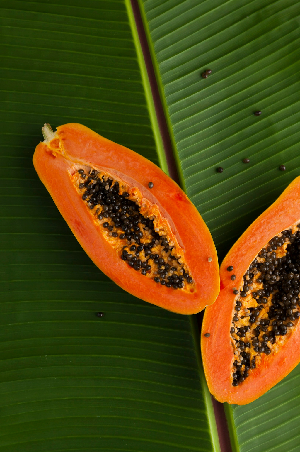Island Papaya 12 oz scented candle