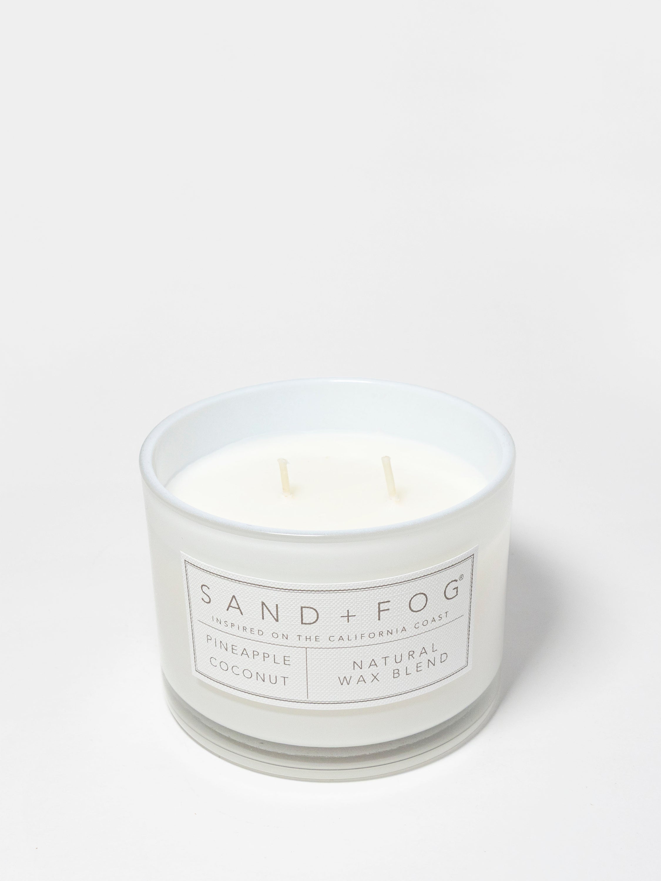 Pineapple Coconut 12 oz scented candle