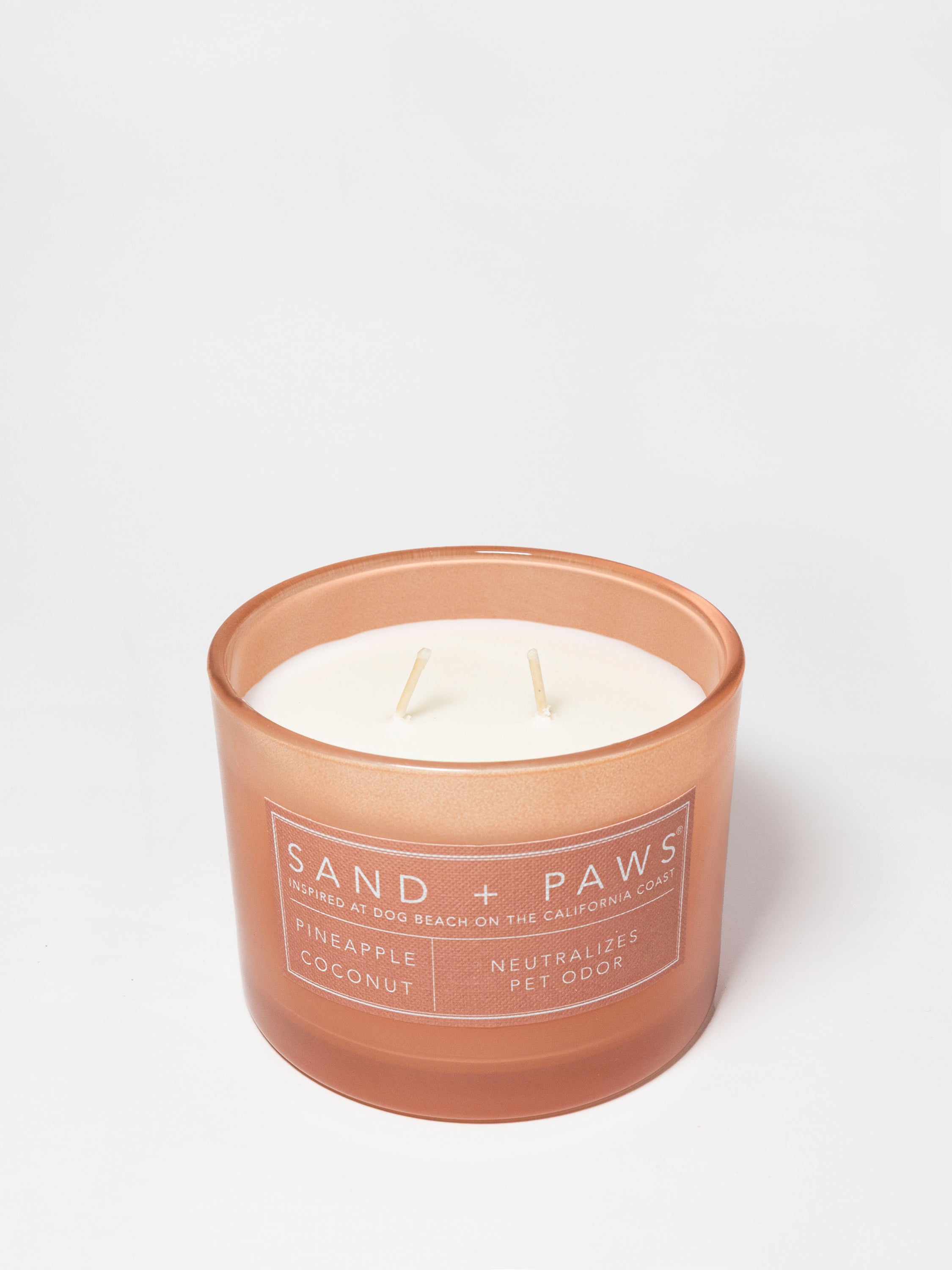 Sand + Paws Pineapple Coconut 12 oz scented candle