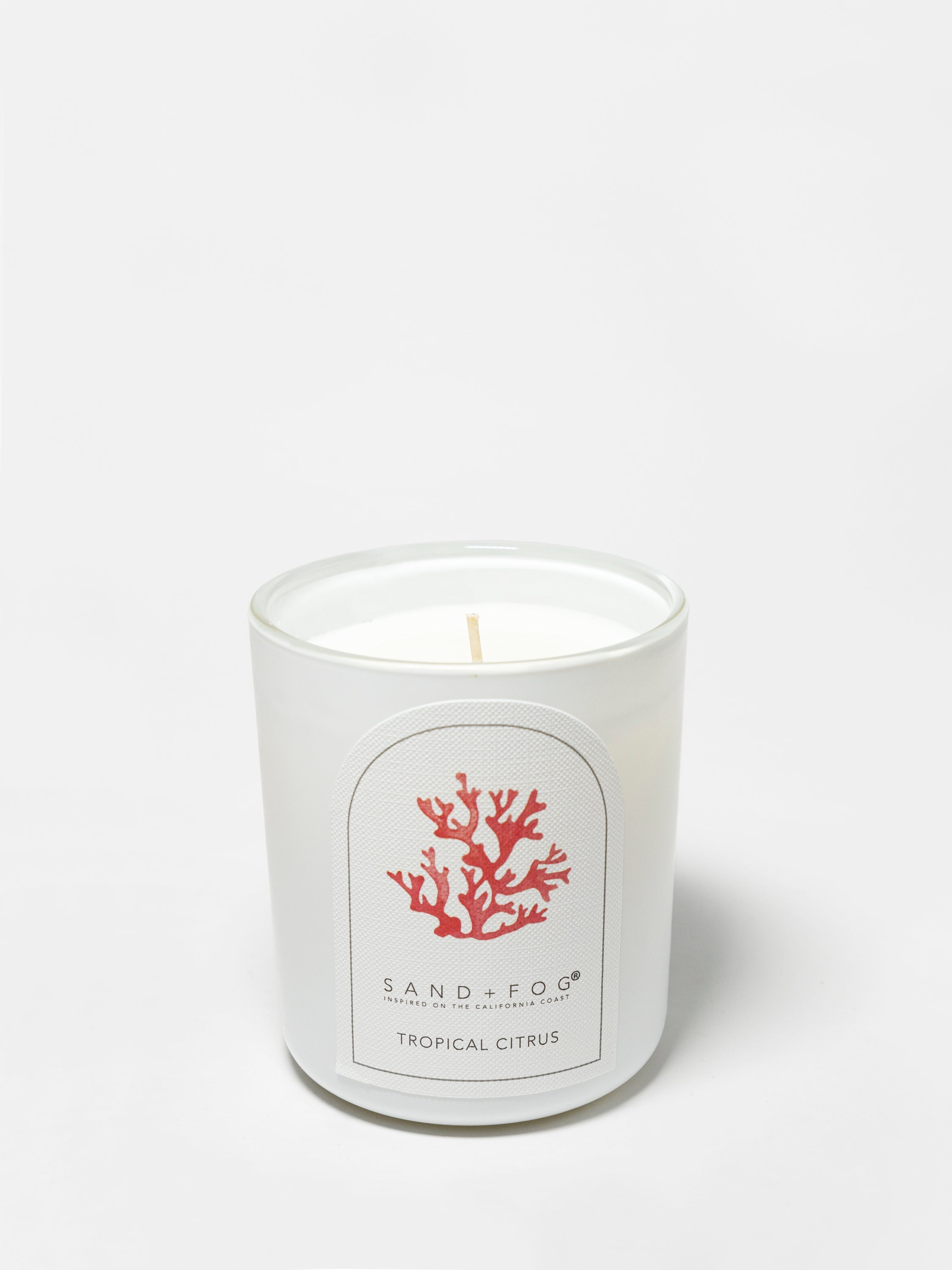 Tropical Citrus 10 oz scented candle