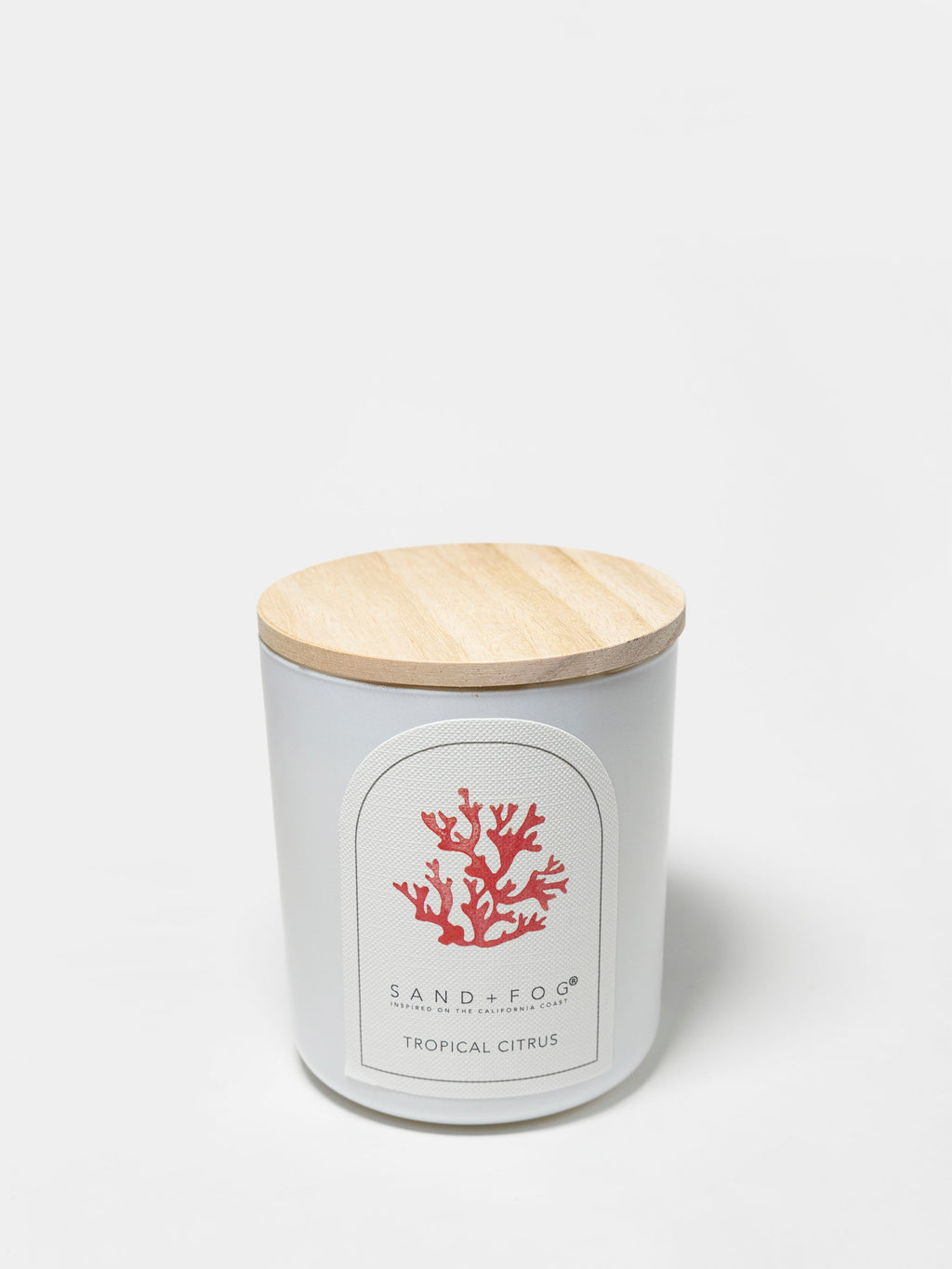Tropical Citrus 10 oz scented candle