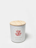 Tropical Citrus 10 oz scented candle